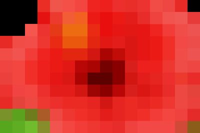 CHUYÊN ĐỀ: HELLO SPRING – CHÀO XUÂN ẤT TỴ 2025